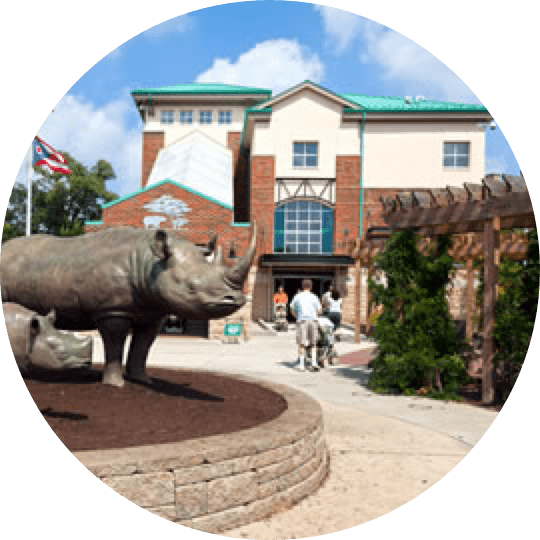 A statue of a rhino in front of a building.